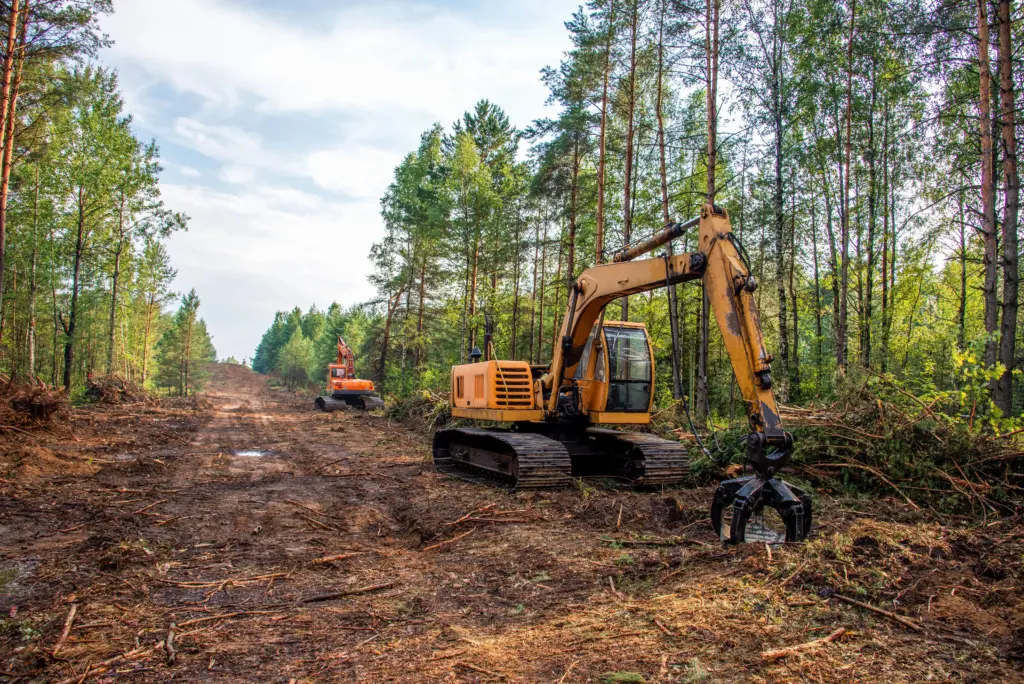 land-clearing-trees