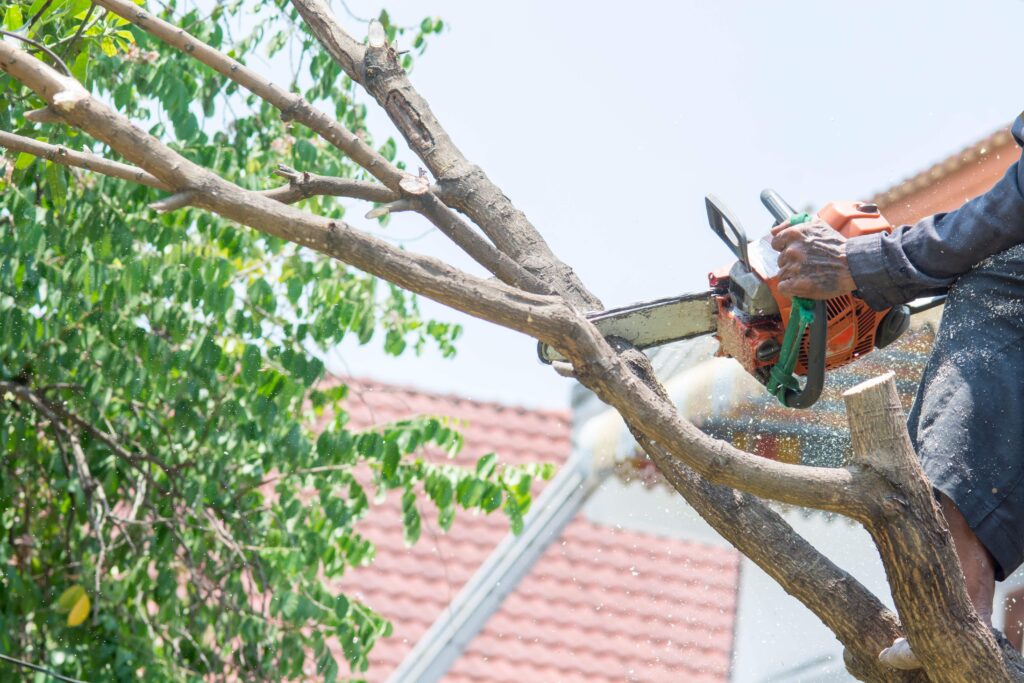 man-cutting-tree-branch-with-chainsaw