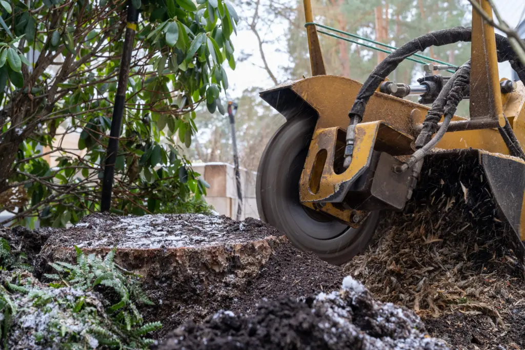 tree-stump-grinding