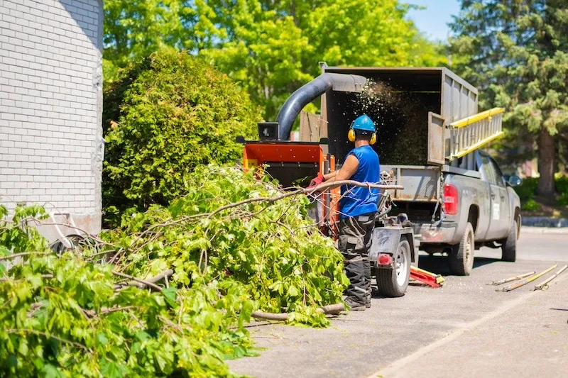 man-putting-tree-branches-in-wood-chipper